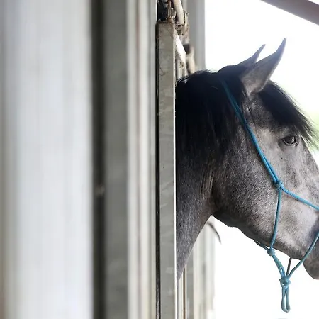 Bed and Breakfast Ferme Chateau De 4*