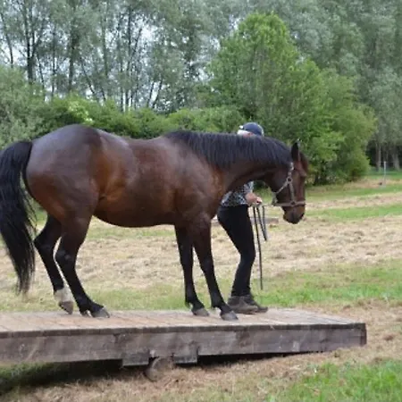 Ferme Chateau De 4*