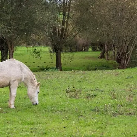 Bed & Breakfast Ferme Chateau De Laneffe